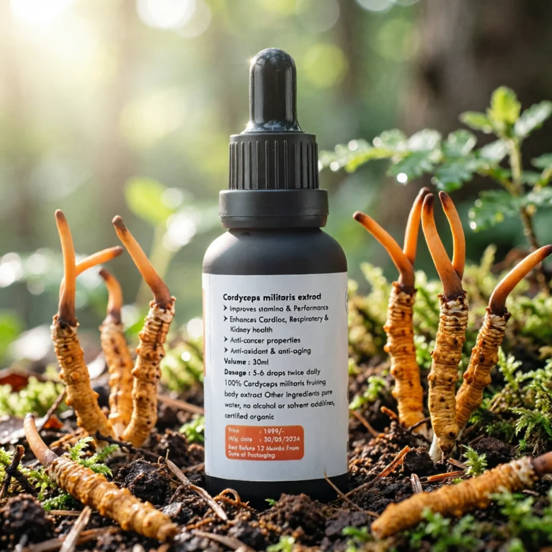 Cordyceps Militaris Liquid Extract - Image 3