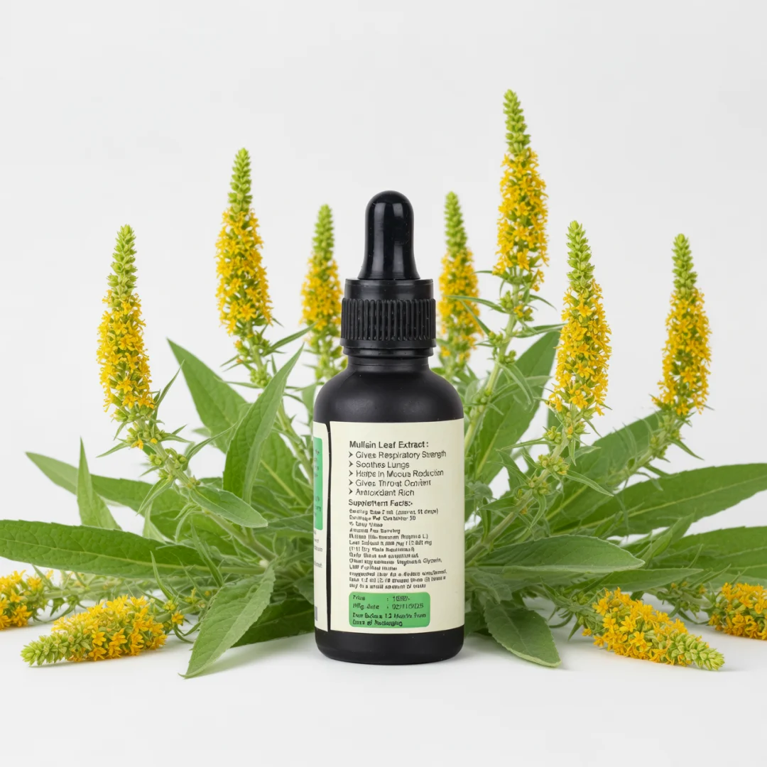 Mullein Liquid Extract - Image 3