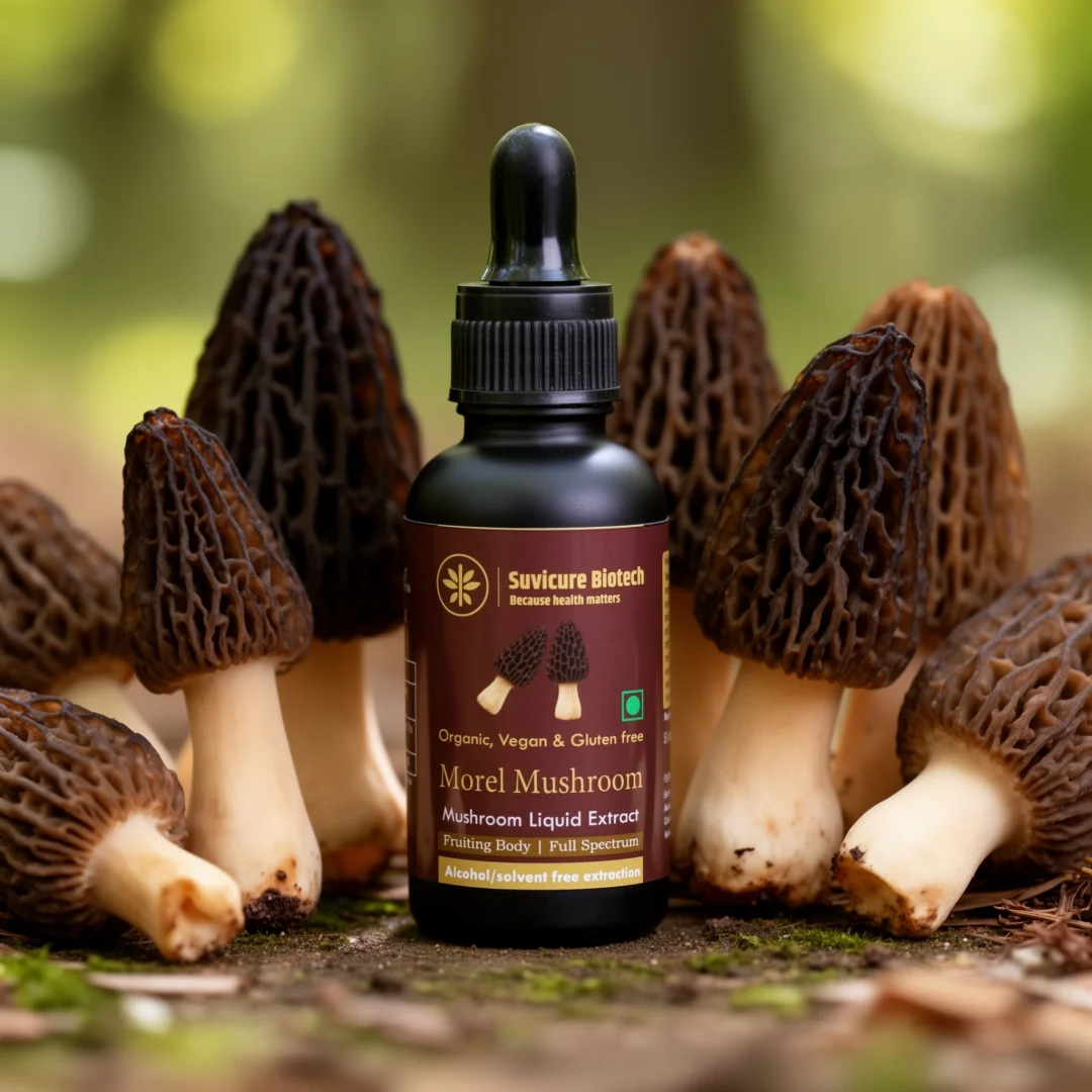 Morel Liquid Extract
