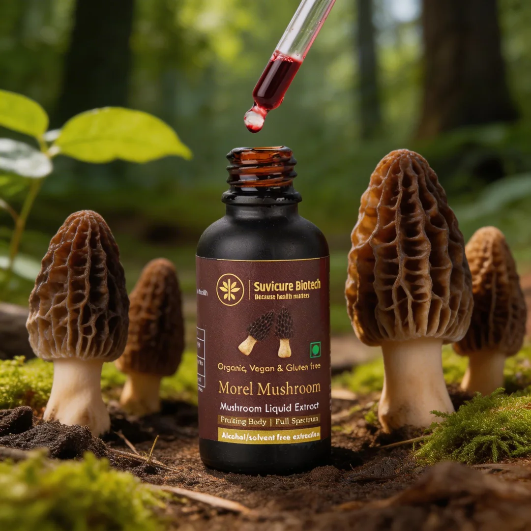 Morel Liquid Extract - Image 2