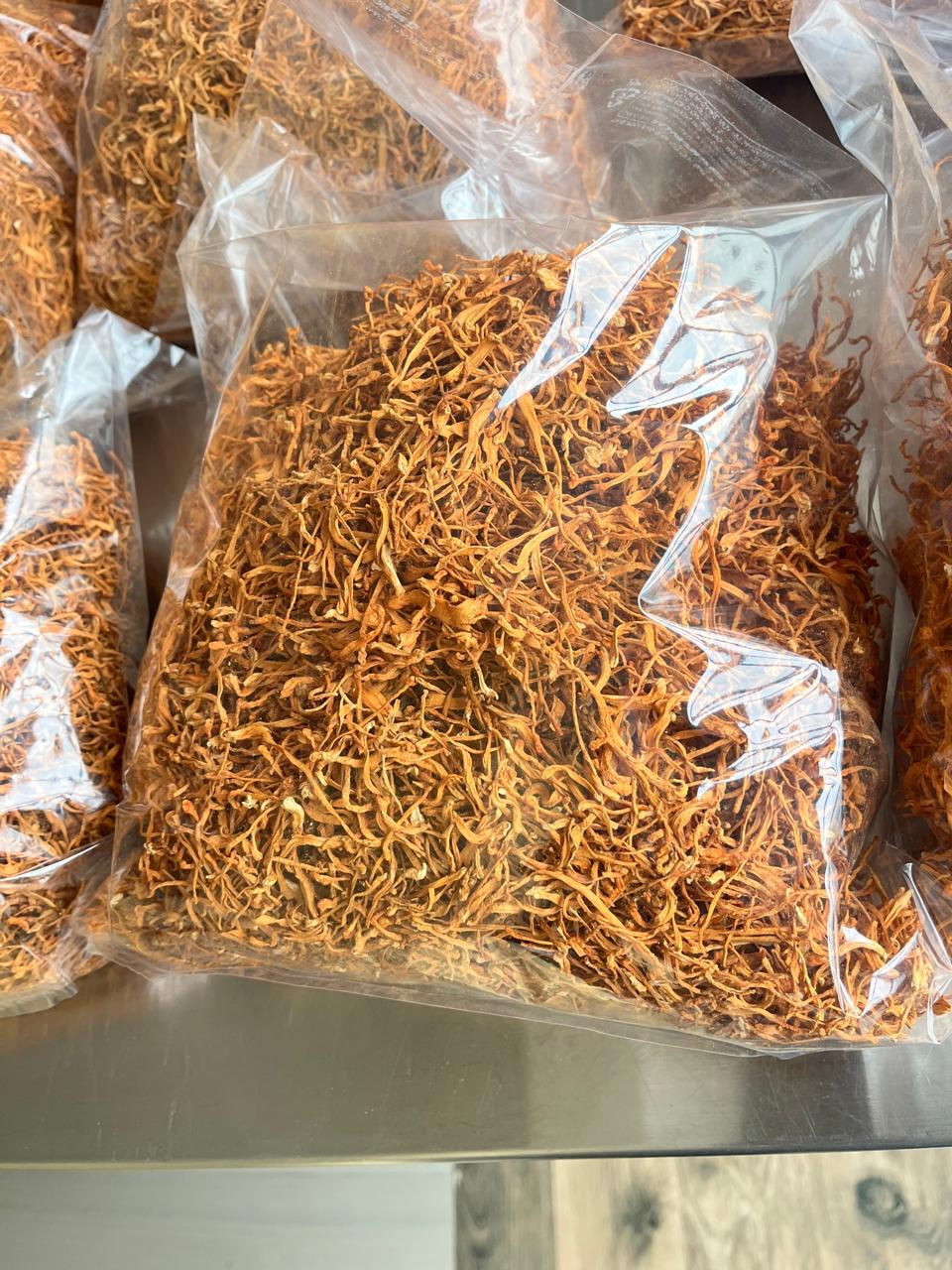 Cordyceps Militaris Mushroom